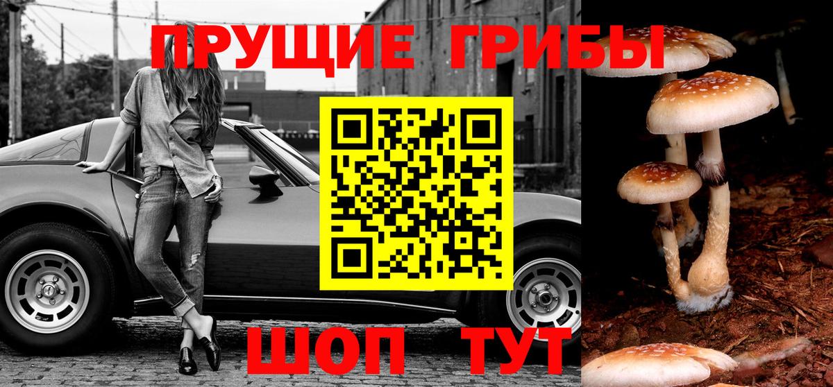 Галлюциногенные грибы прущие грибы Лабинск