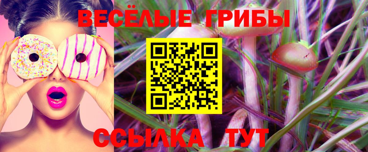 Псилоцибиновые грибы GOLDEN TEACHER  Вход с VPN  продажа наркотиков  Галлюциногенные грибы GOLDEN TEACHER  Лабинск 